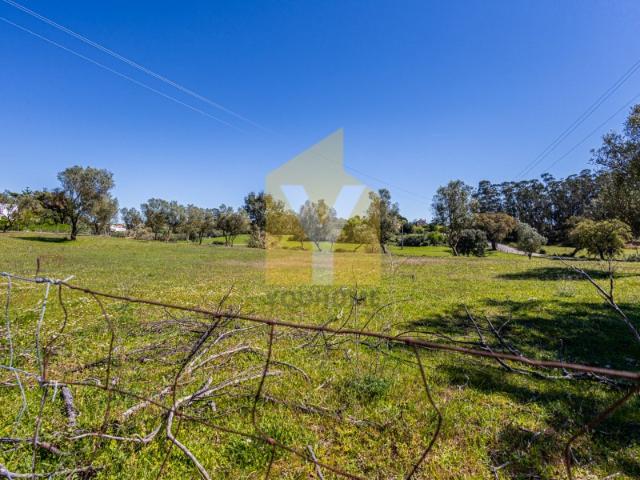 Terreno urbanizável premium com 38.440 m² em Santarém