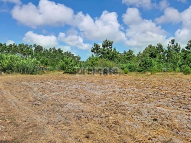 Terreno urbanizável| Ruína |3 km da Praia da Leirosa