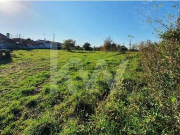 Terreno urbanizável | Rochas, Ameal, Coimbra