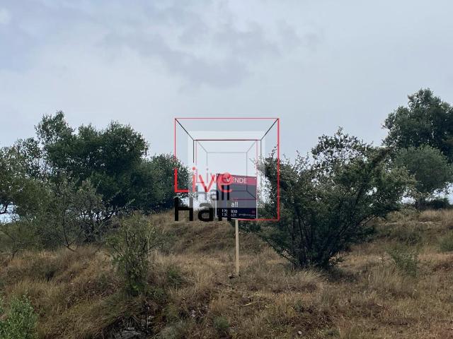Terreno Urbanizável, Venda do Pinheiro e Santo Estevão das Galés