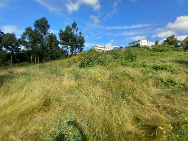 Terreno Urbano