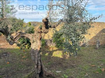 Terreno Urbano