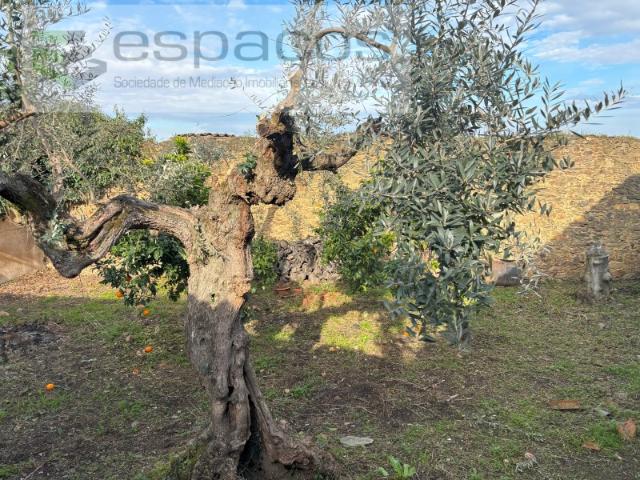 Terreno Urbano