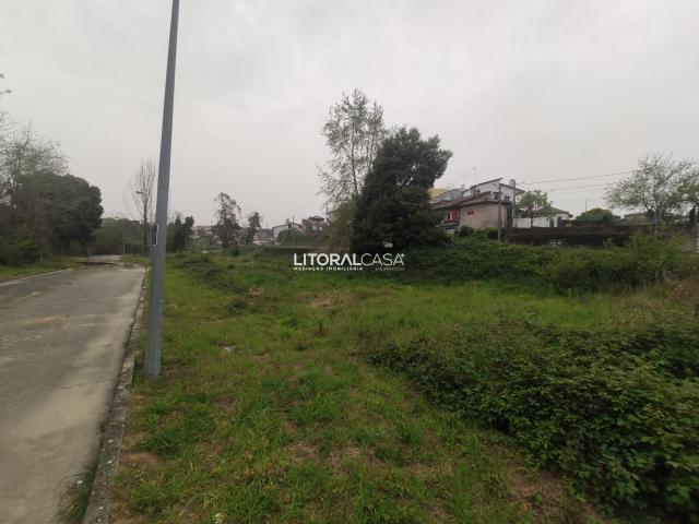 Terreno urbano, 500 m2 na Borralha Agueda