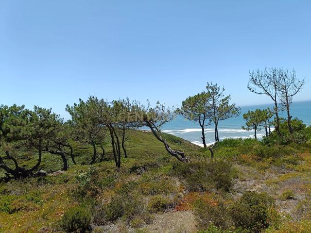 Terreno urbano 570m2 na zona de Falca perto da praia e rodeada de espaços verdes numa zona tranquila e aprazível