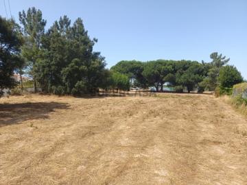 Terreno Urbano