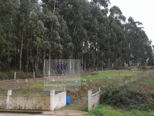 Terreno Urbano