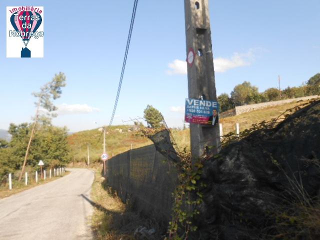 Terreno Urbano