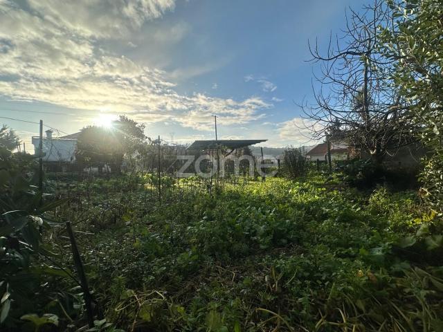 Terreno Urbano