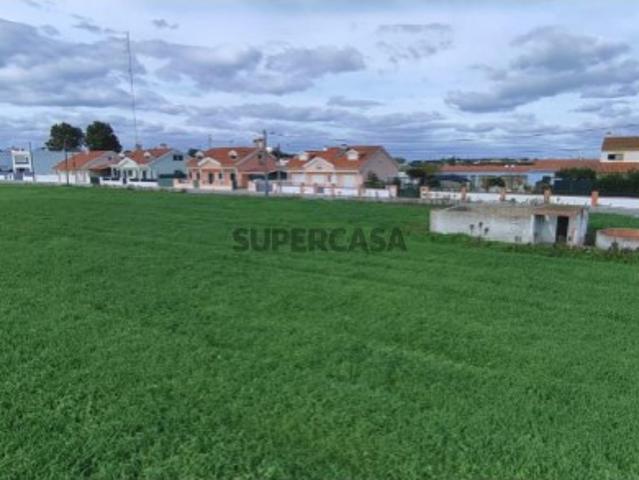 Terreno Urbano