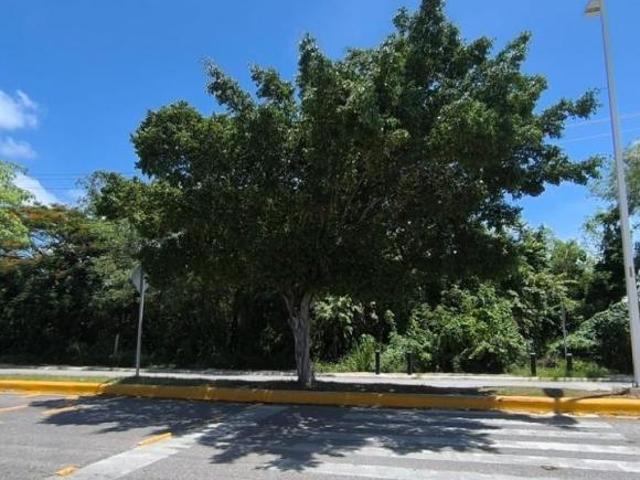 Terreno Urbano