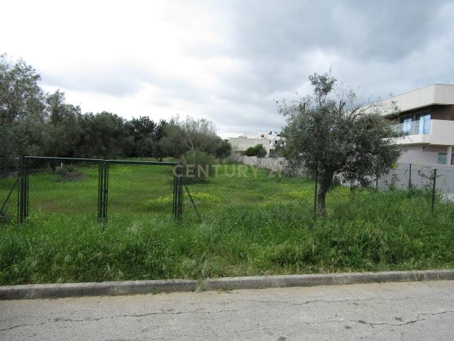 Terreno Urbano