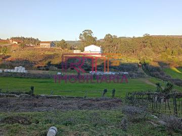 Terreno Urbano