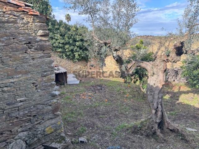 Terreno Urbano