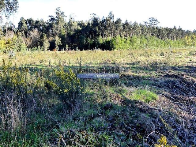 Terreno urbano 9.000m2. Portugal, Cacia, Aveiro