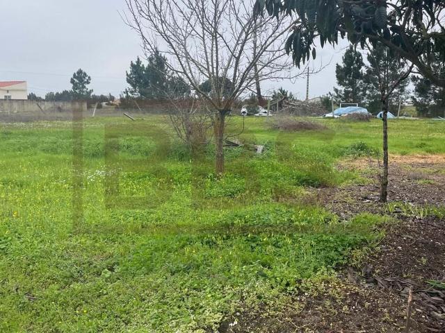 Terreno Urbano 1000m2 no Granho para Construção