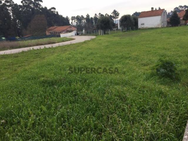 Terreno Urbano