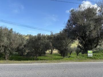 Terreno Urbano