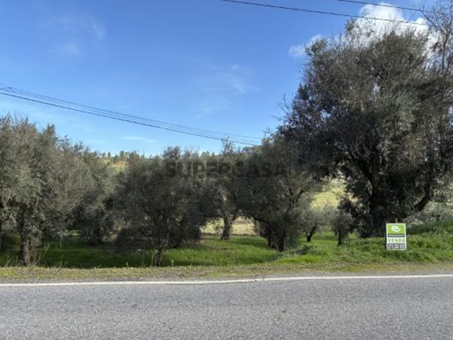 Terreno Urbano