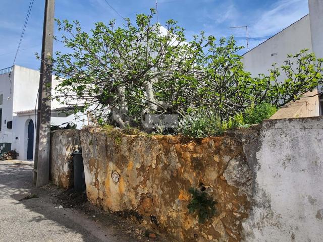 Terreno Urbano