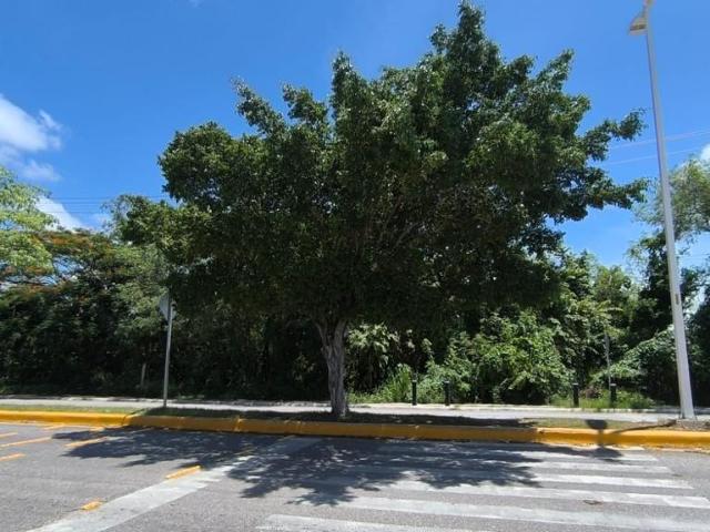 Terreno Urbano
