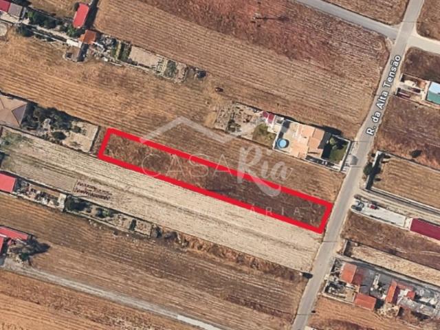 TERRENO URBANO | 2.318 m² | 5min da PRAIA DA VAGUEIRA