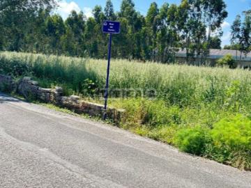 Terreno Urbano | Vagos