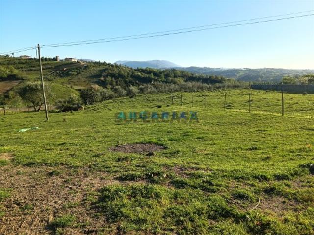 Terreno Urbano Venda em Batalha,Batalha