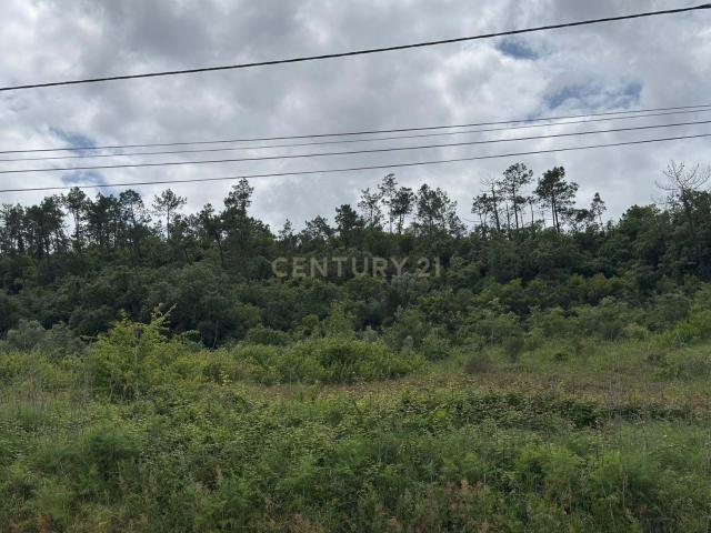 Terreno Urbano à venda em Alcobaça – Oportunidade única!