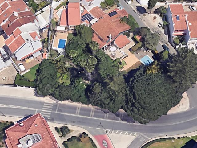 Terreno Urbano à Venda em Carcavelos Oportunidade Única