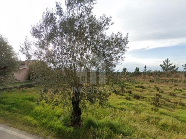 Terreno urbano à venda em São Lourenço do Barro, concelho de Anadia, distrito de Aveiro
