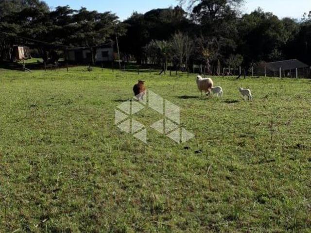 Terreno Urbano à venda Estrada da Capororoca Viamão RS