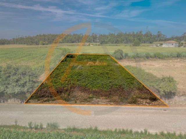 Terreno Urbano | Aveleda
