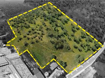 Terreno Urbano c/5 Hectares