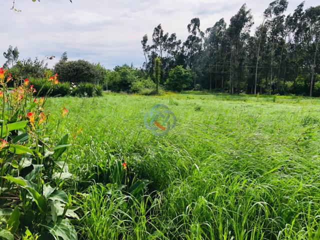 Terreno Urbano c/ Viabilidade para construção de uma moradia