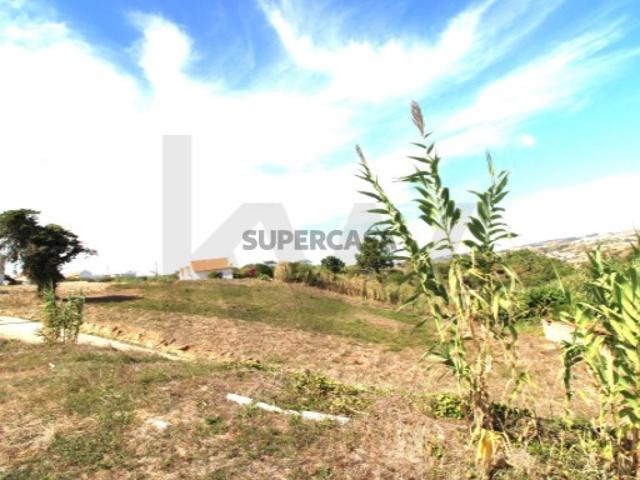 Terreno Urbano c/ 3100m2 Achada / Mafra