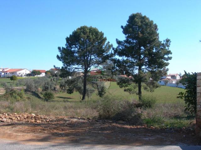 Terreno Urbano Cabeçudo