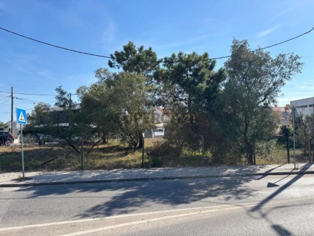 Terreno urbano Centro da Charneca de Caparica 650 m2
