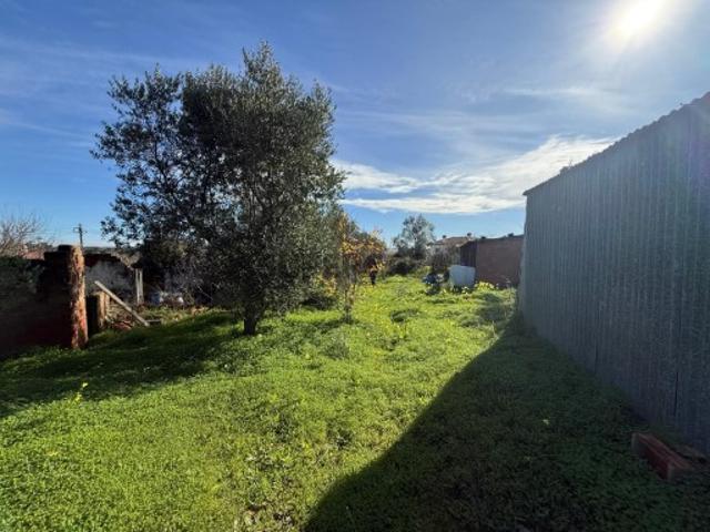 Terreno Urbano | Charneca da Meia Via | Torres Novas