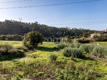 Terreno Urbano com 11.880m² junto ao Belas Clube de Campo