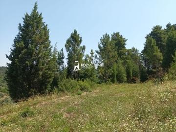 Terreno urbano com 1362m2 em Marmeleira, Souselas