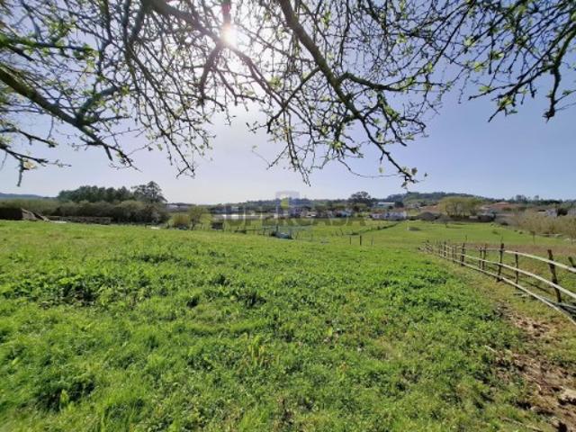 Terreno urbano com 15.867 m2 em Cela, Alcobaça, com viabilidade de construção de várias moradias, e ruína de 336,30 m2 para reconstrução