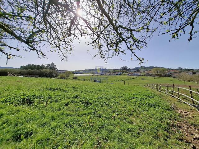 Terreno urbano com 15.867 m2 em Cela, Alcobaça, e ruína de 336,30 m2