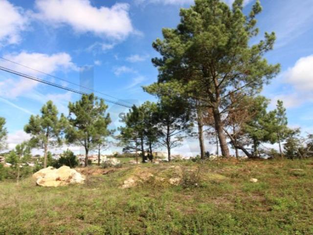 Terreno urbano com 1900m2 no Sobreiro | Mafra