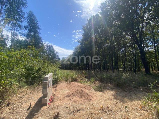 Terreno urbano com 1.018 m² em zona tranquila – Barrô, Águeda