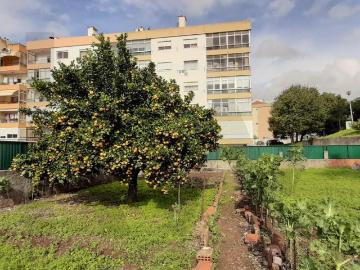 Terreno urbano com 1.192m2 em Massamá Centro