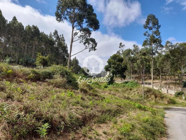 Terreno urbano com 2400 m2 em Arnoso Sta. Eulalia