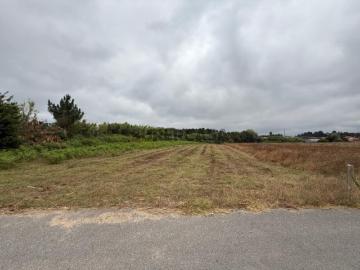 Terreno Urbano com 2540 m² em Montelongo da Areia Oliveira do Bairro