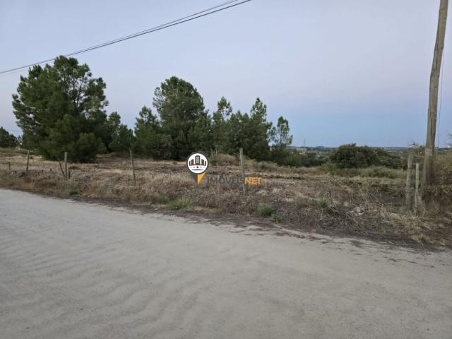 Terreno urbano com 2593m2, Venda, Castelo Branco