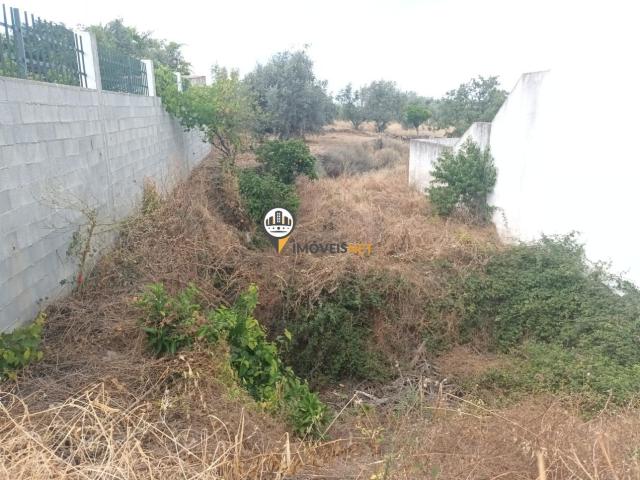 Terreno urbano com 250m2, Venda, Castelo Branco